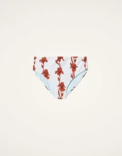 Boy Brief
