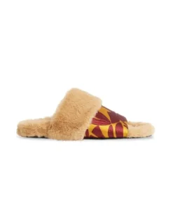 Winter Slides